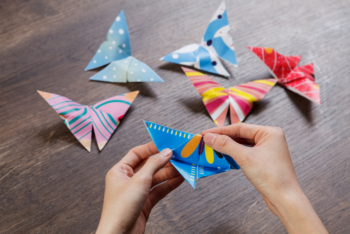 蝴蝶小學堂圖片