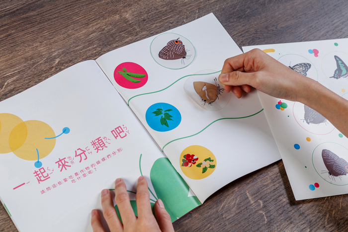 蝴蝶小學堂圖片