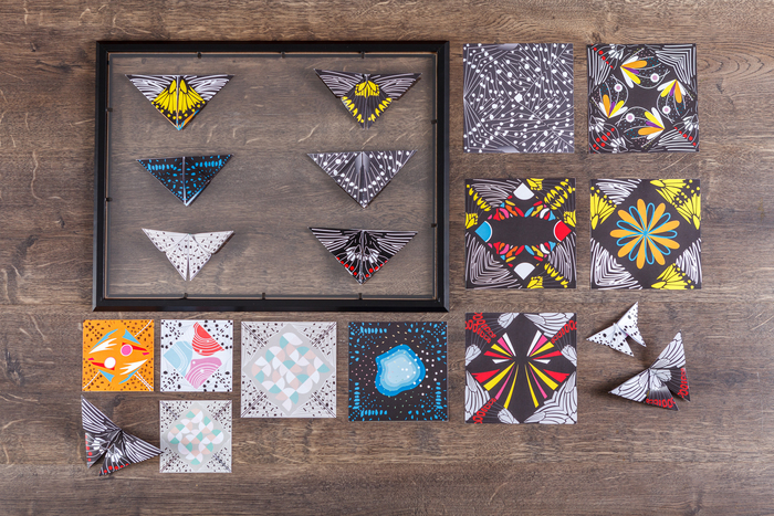 蝴蝶小學堂圖片