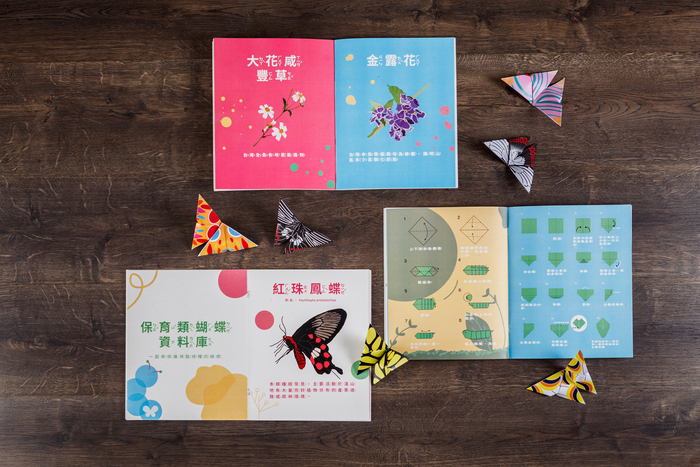 蝴蝶小學堂圖片