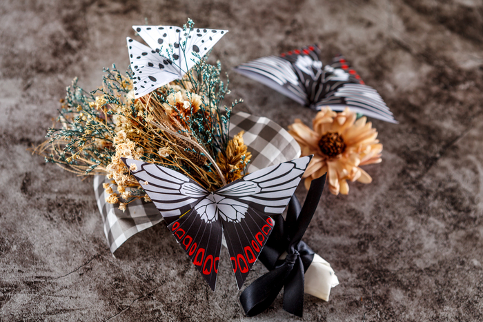 蝴蝶小學堂圖片